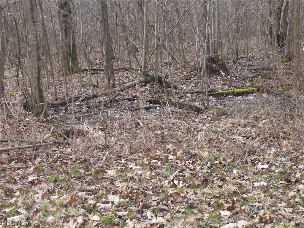 Hyde Road Windsor, OH 44099 - Photo 5 of 13 Approx. Northern end