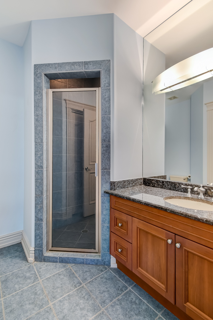 21 Ashton Drive Burr Ridge, IL 60527 - Photo 24 of 45 a bathroom with a granite countertop sink a mirror and a shower