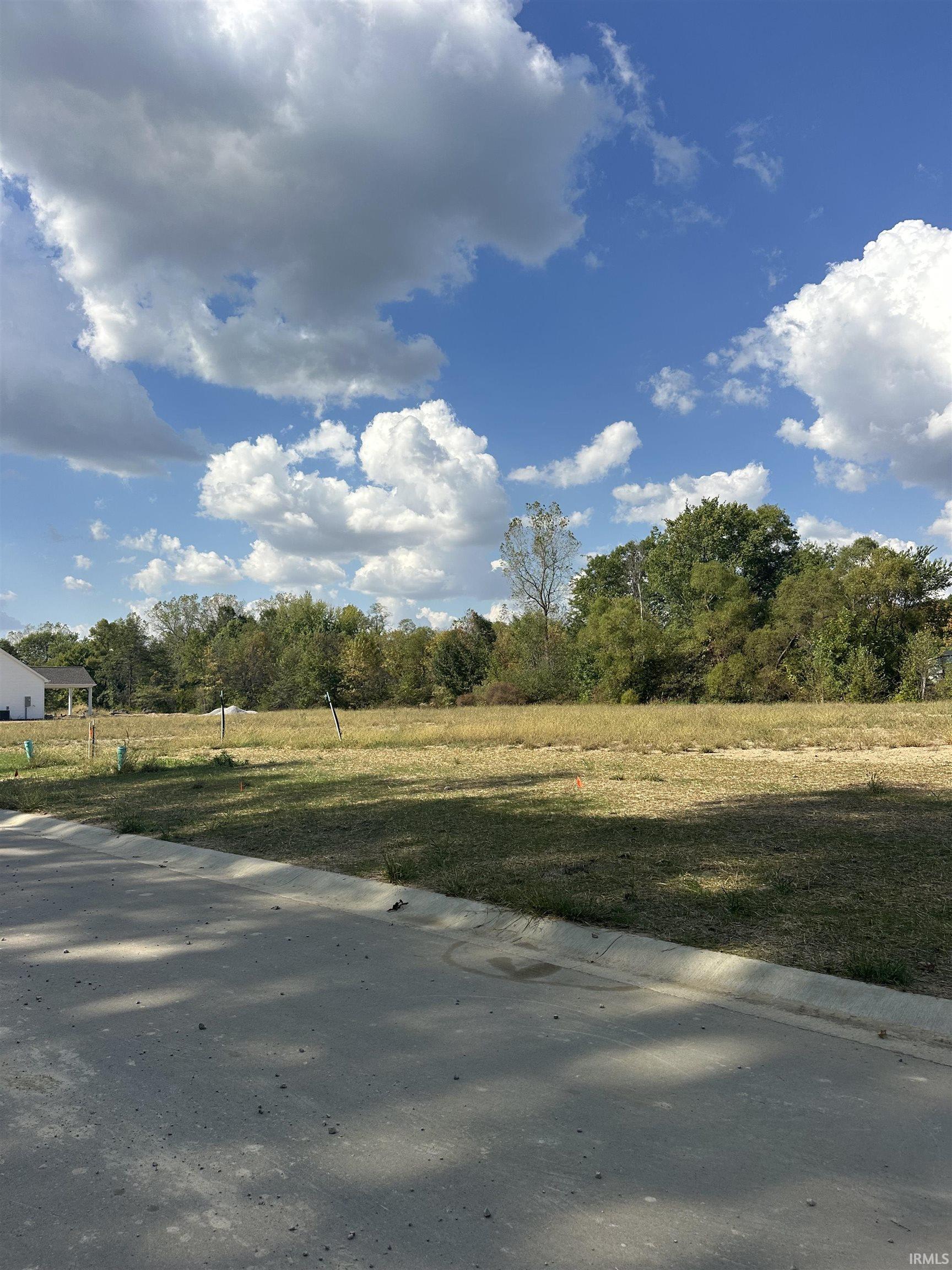 14525 Magnolia Run Parkway Fort Wayne, IN 46845 - Photo 2 of 4