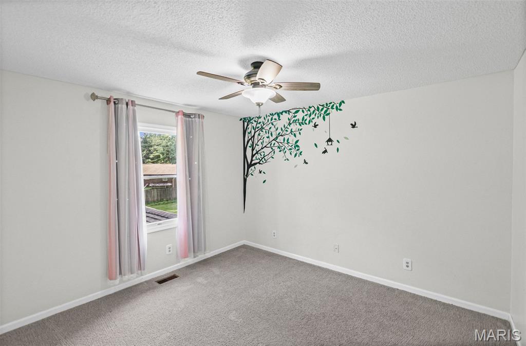 425 Weatherstone Drive Belleville, IL 62221 - Photo 30 of 47