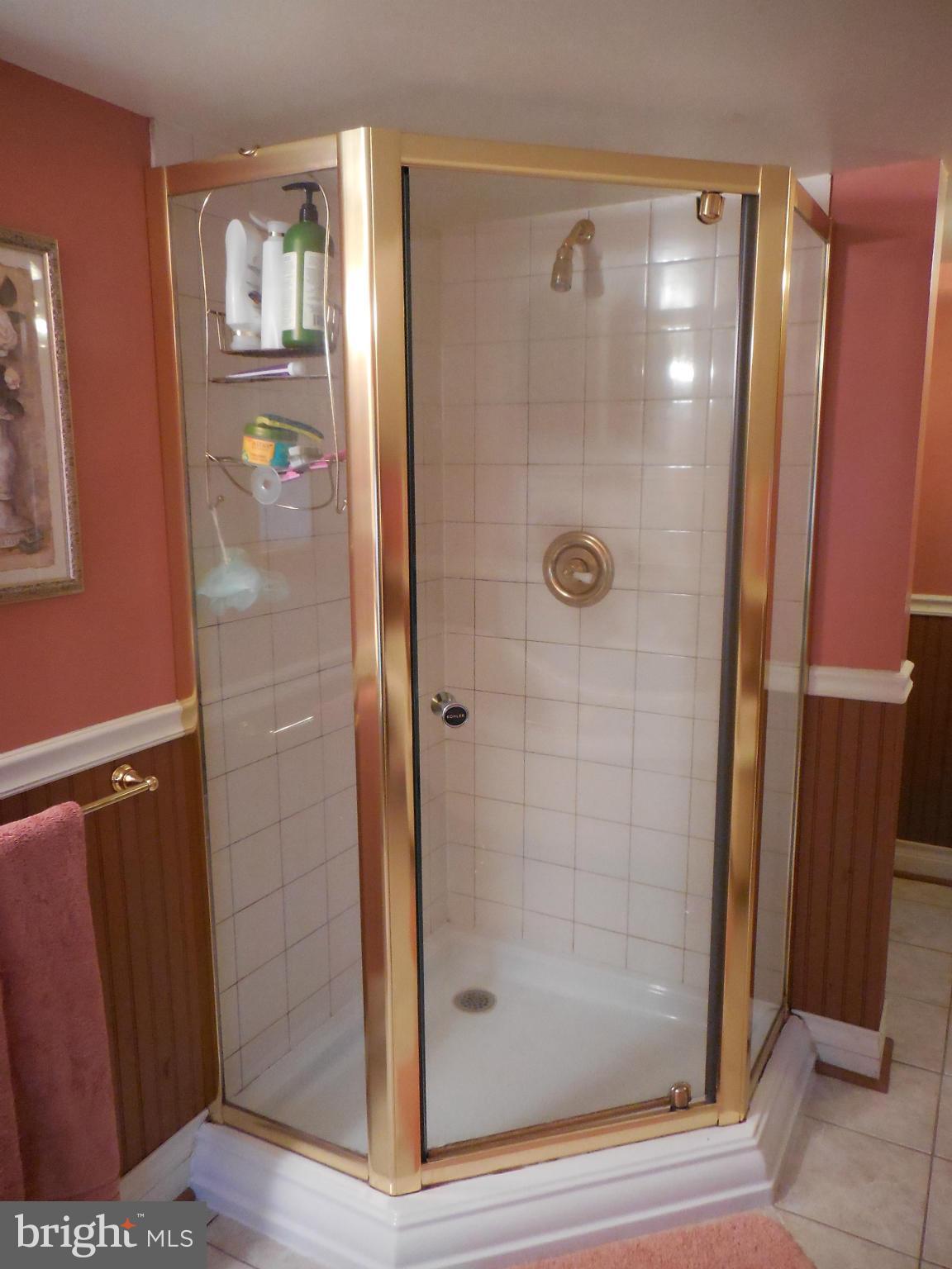 410 Mt Hope Road Fairfield, PA 17320 - Photo 14 of 23 Bath (Master)