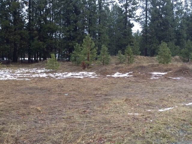 4005 South Evergreen Road Veradale, WA 99037 - Photo 4 of 5