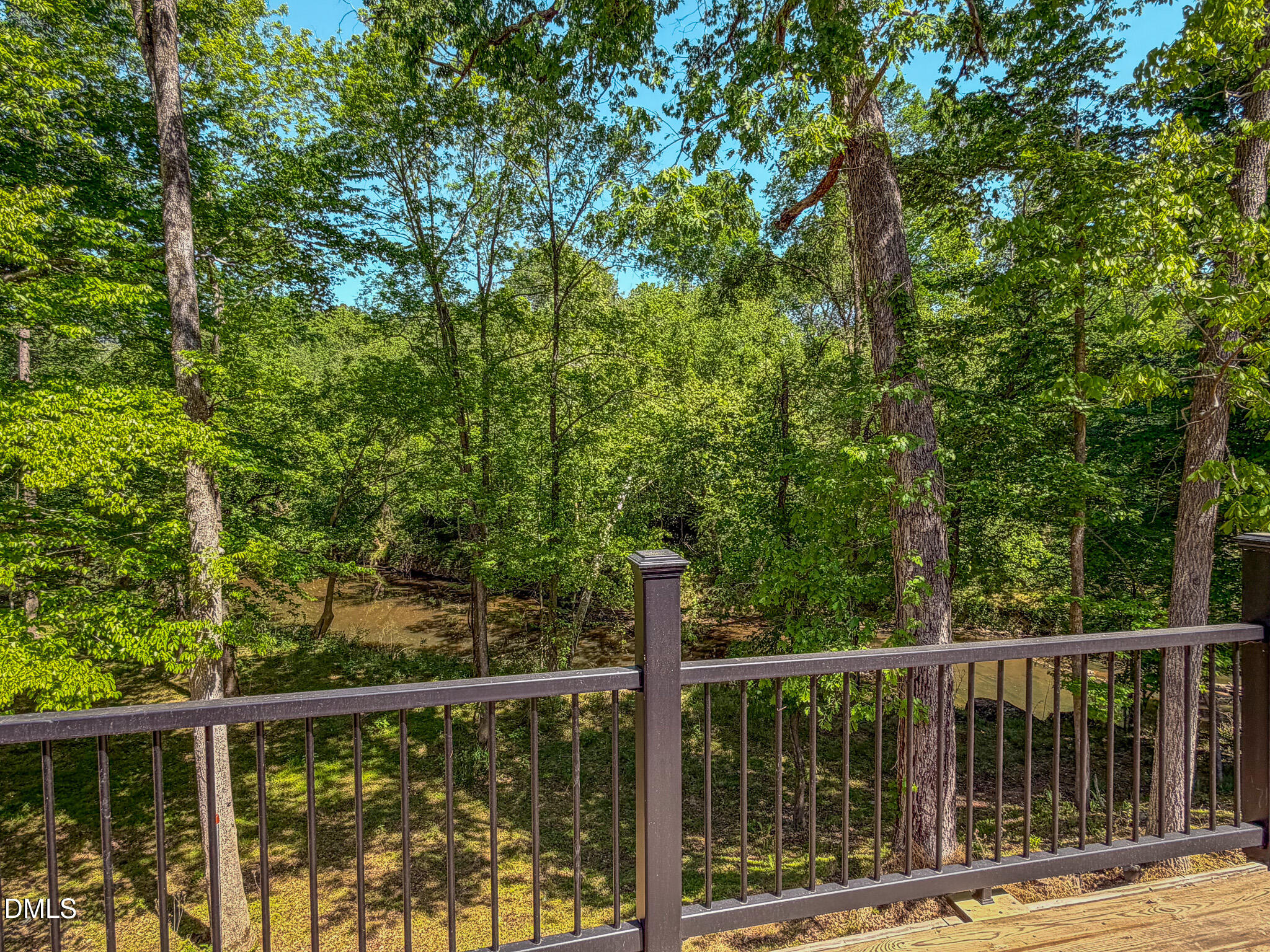 600 Cedar Laurel Lane Rougemont, NC 27572 - Photo 7 of 53 7