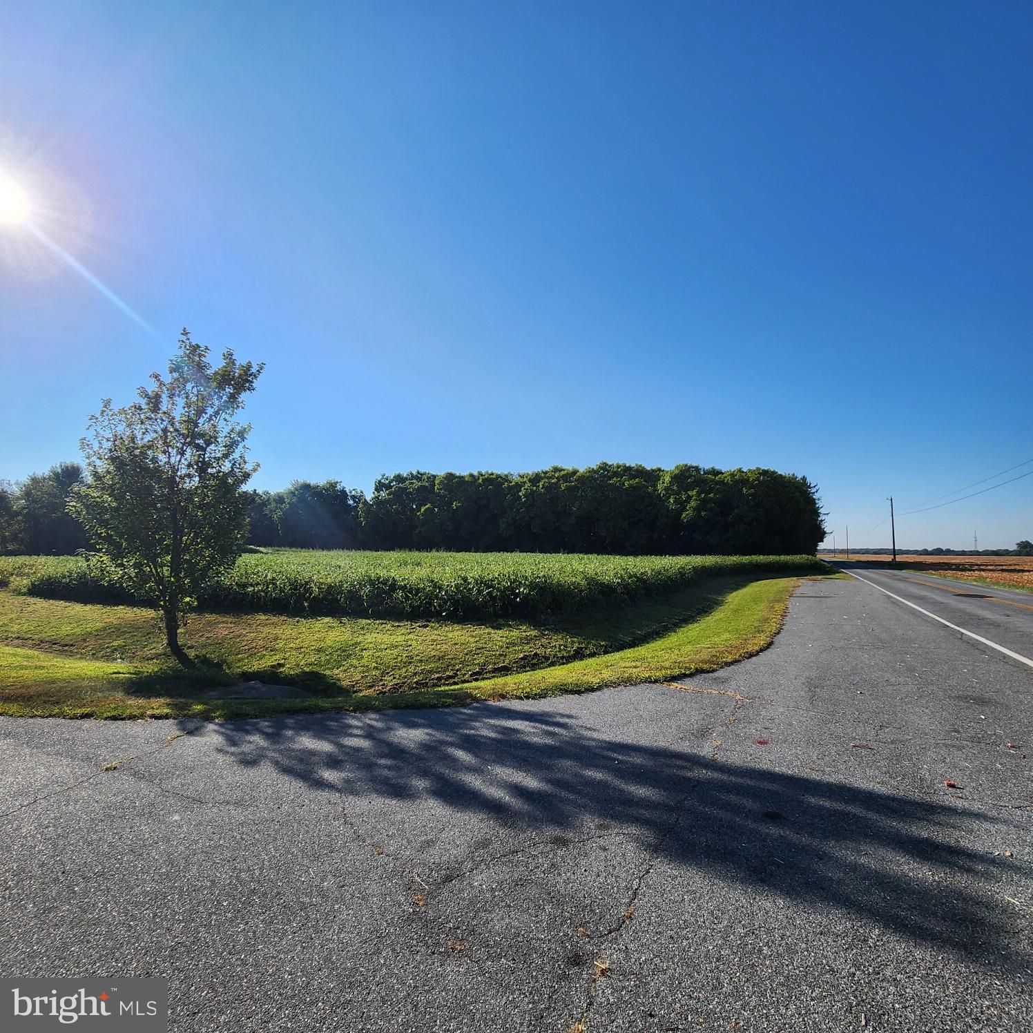 460 Old Telegraph Road Warwick, MD 21912 - Photo 16 of 17 Gallery Image 16