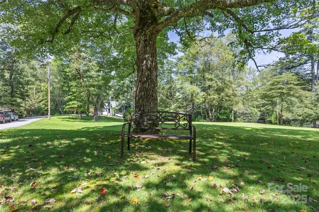 a view of a park with large trees