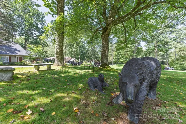 a view of a garden with plants and large trees