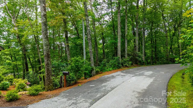 a view of a garden with plants and trees