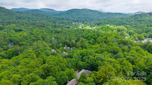 a view of a lush green forest with lush green forest