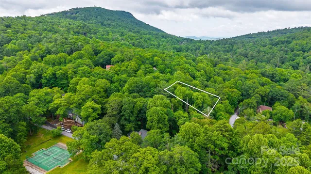 a view of a lush green forest with a houses