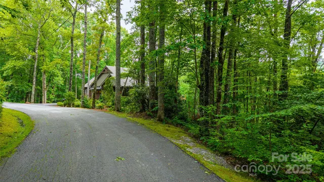 a view of a garden with plants and a houses