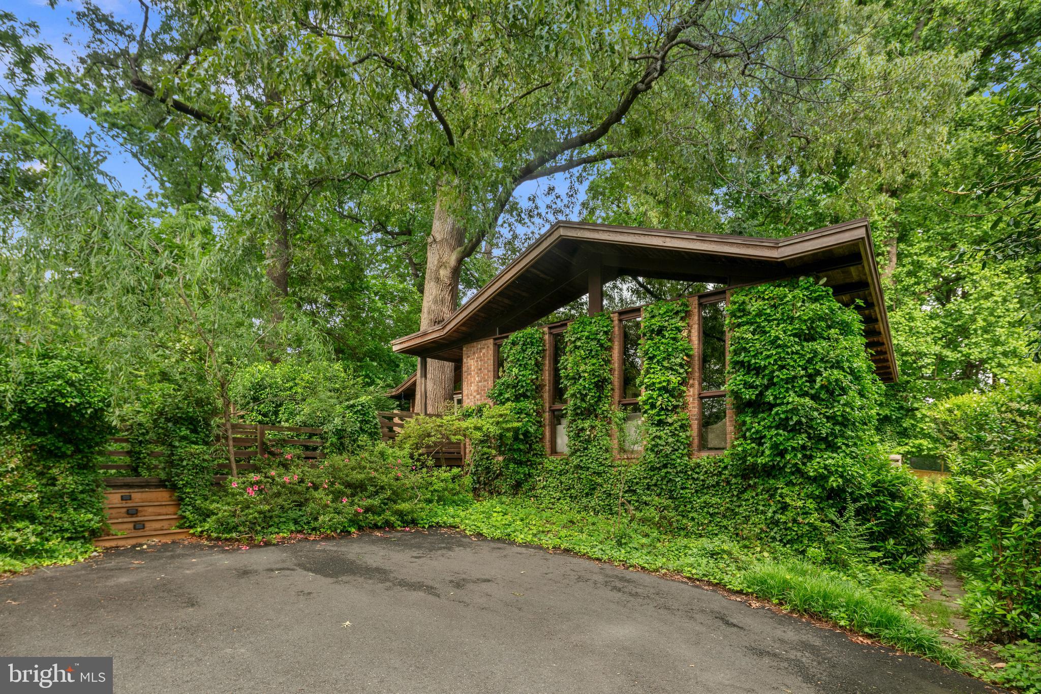 2825 Lorcom Lane Arlington, VA 22207 - Photo 4 of 63 a view of a yard with potted plants and large trees