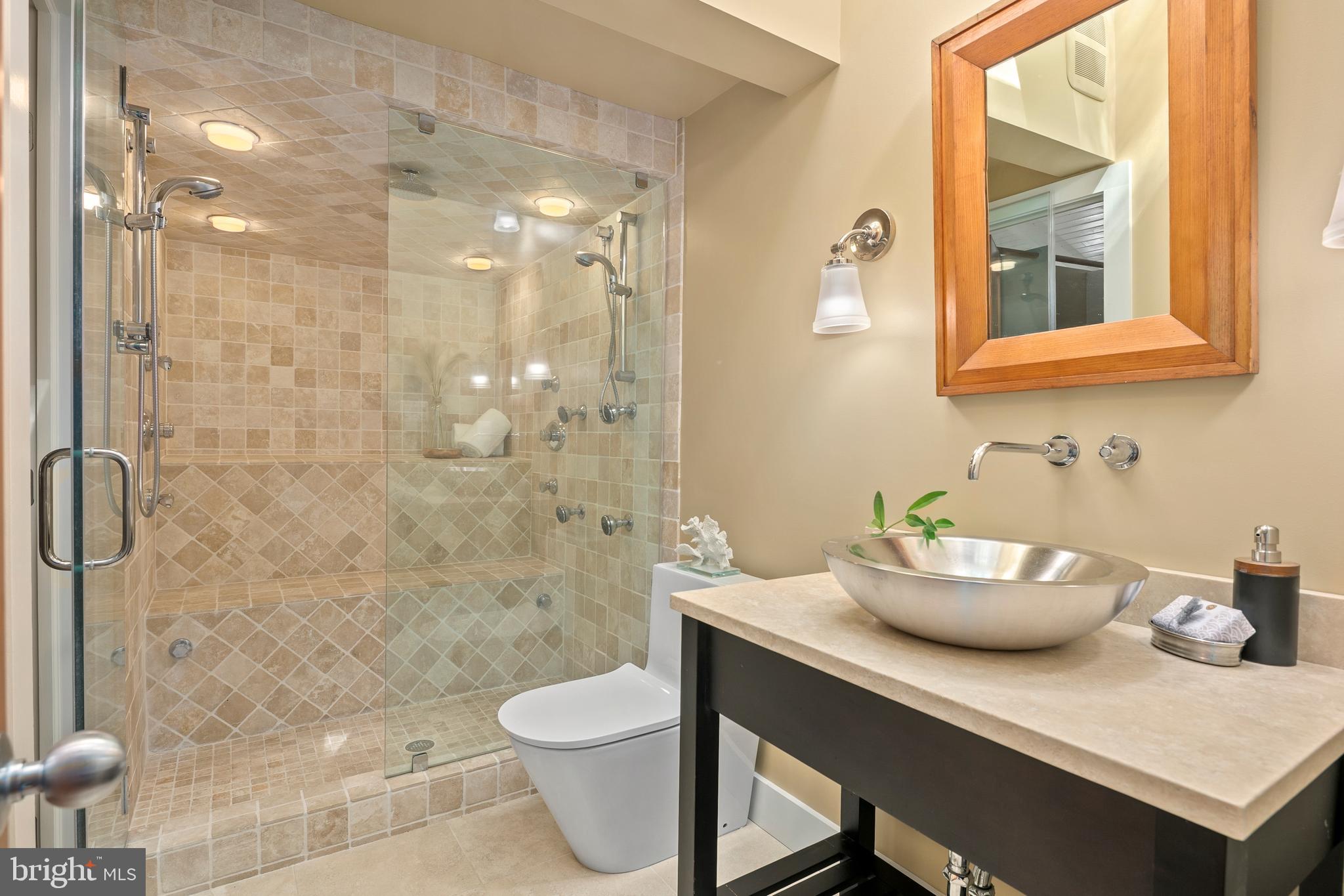 2825 Lorcom Lane Arlington, VA 22207 - Photo 48 of 63 a bathroom with a sink a toilet and shower