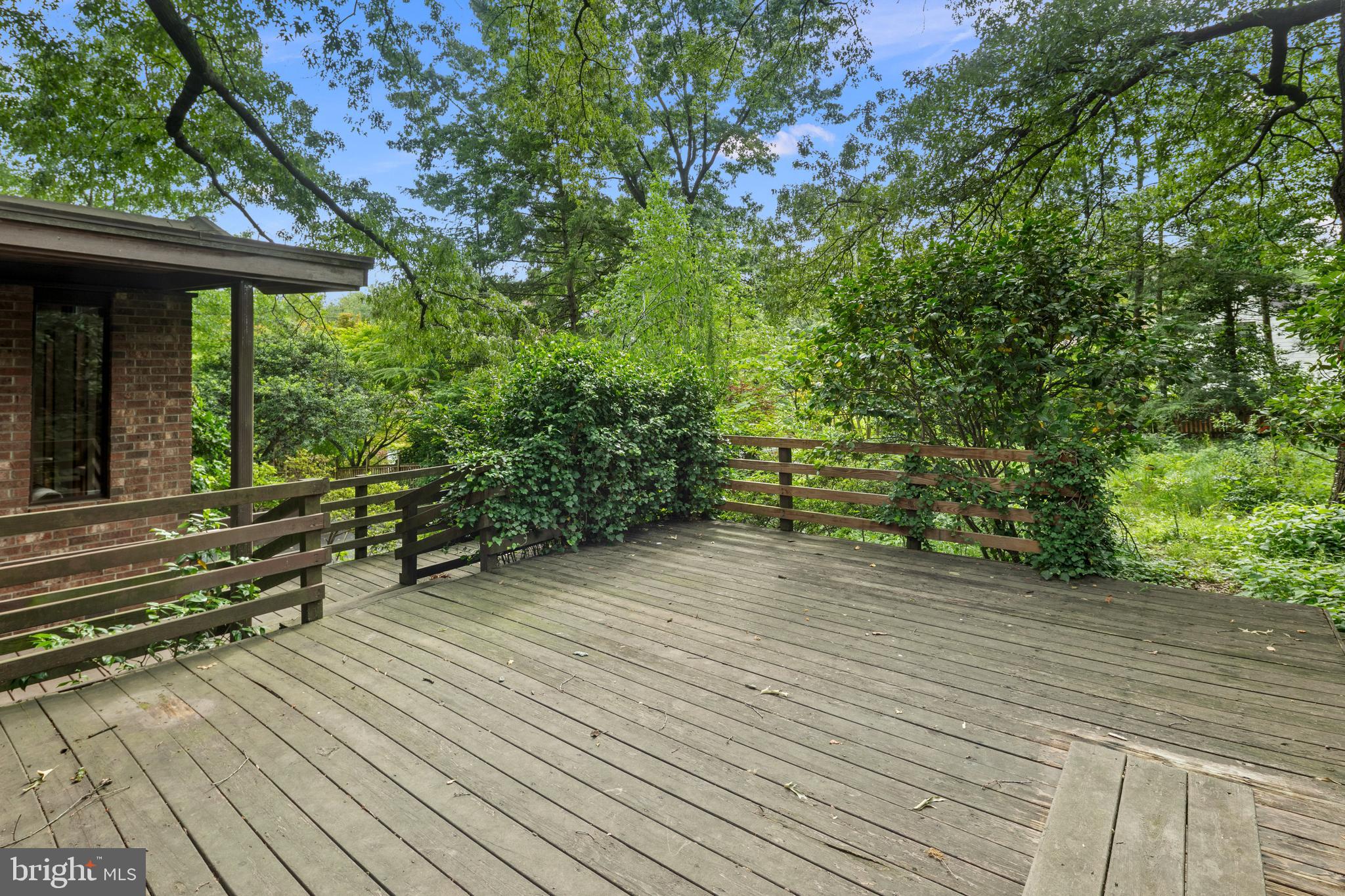 2825 Lorcom Lane Arlington, VA 22207 - Photo 5 of 63 an empty room with wooden floor and windows