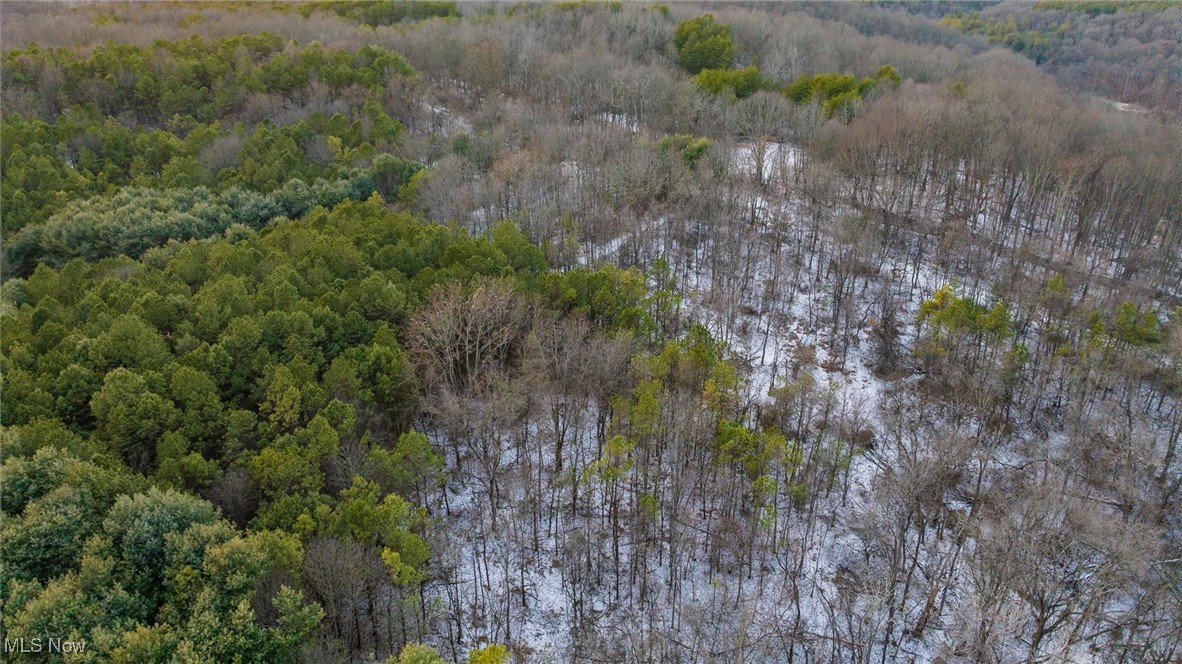 Perl Road Chandlersville, OH 43727 - Photo 21 of 48