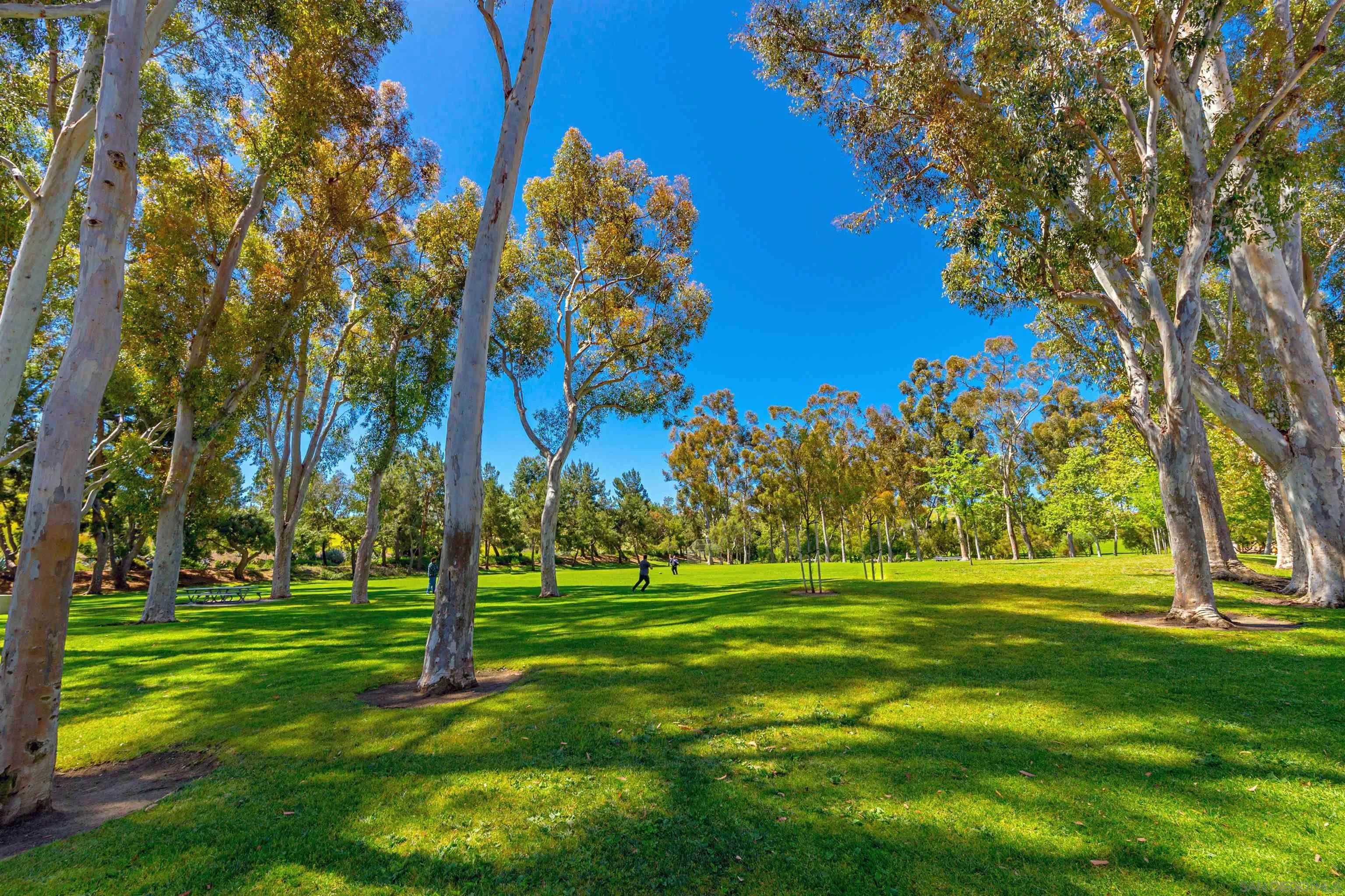 40 Canyon Ridge, Unit 3 Irvine, CA 92603 - Photo 57 of 64