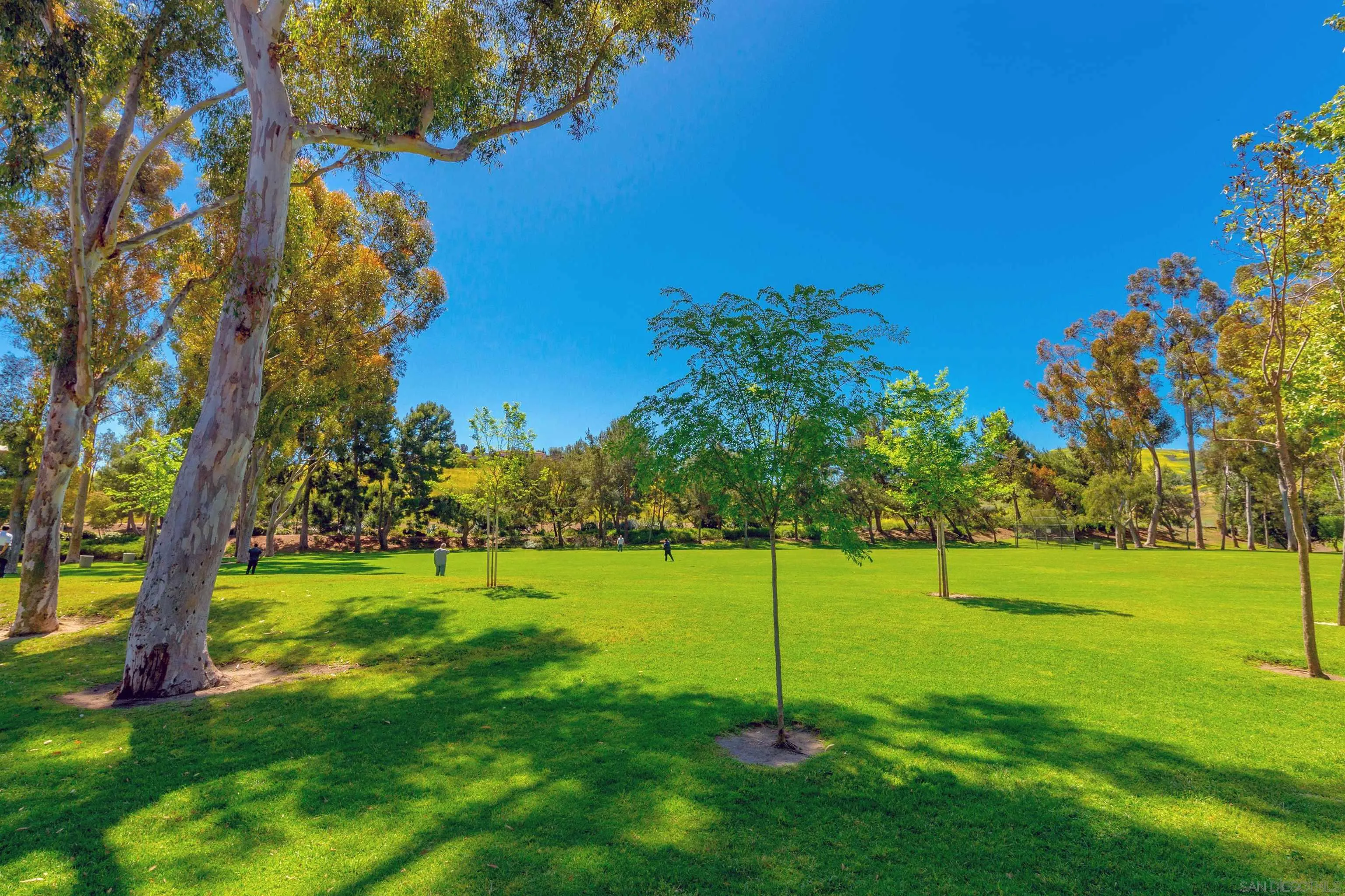 40 Canyon Ridge, Unit 3 Irvine, CA 92603 - Photo 61 of 64