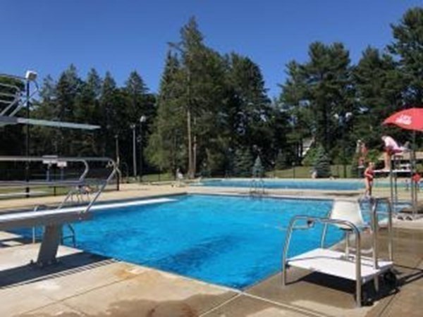 7 Leeland Terrace Lexington, MA 02421 - Photo 31 of 32 a view of a swimming pool with seating area and trees in the background