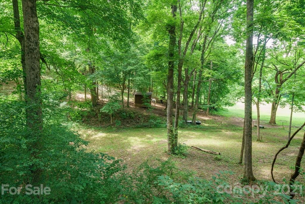 1094 West End Road Chester, SC 29706 - Photo 31 of 37 a view of a garden