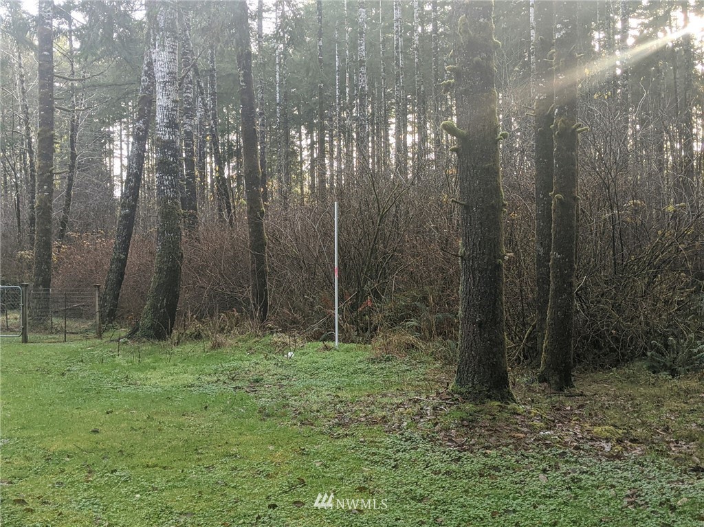 341 Lund Road Cosmopolis, WA 98537 - Photo 11 of 24 Gallery Image 11