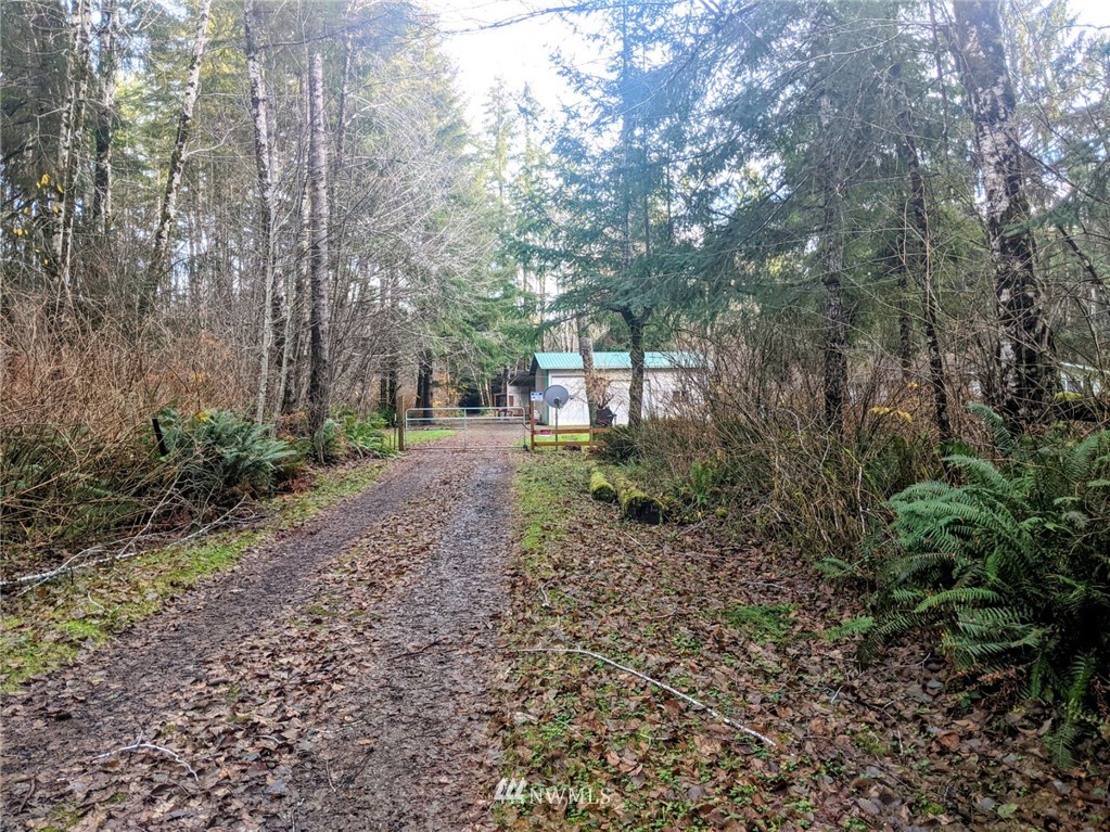 341 Lund Road Cosmopolis, WA 98537 - Photo 5 of 24 Gallery Image 5
