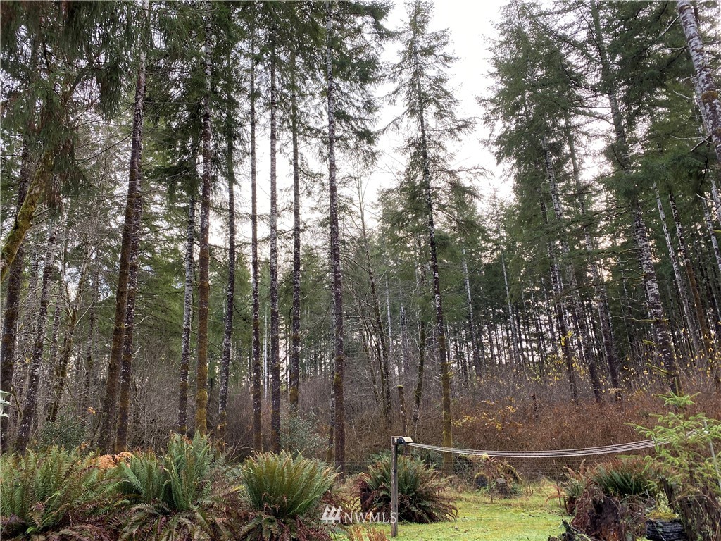 341 Lund Road Cosmopolis, WA 98537 - Photo 7 of 24 Gallery Image 7