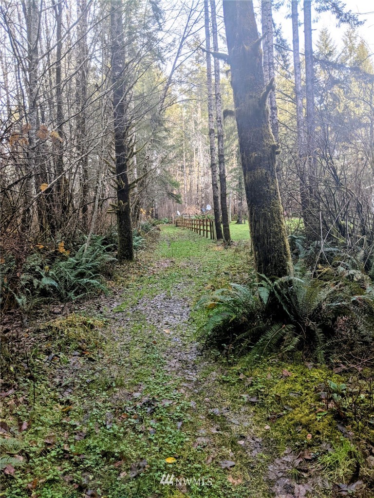341 Lund Road Cosmopolis, WA 98537 - Photo 10 of 24 Gallery Image 10