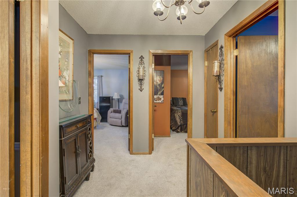 306 County Line Road Sikeston, MO 63801 - Photo 12 of 33