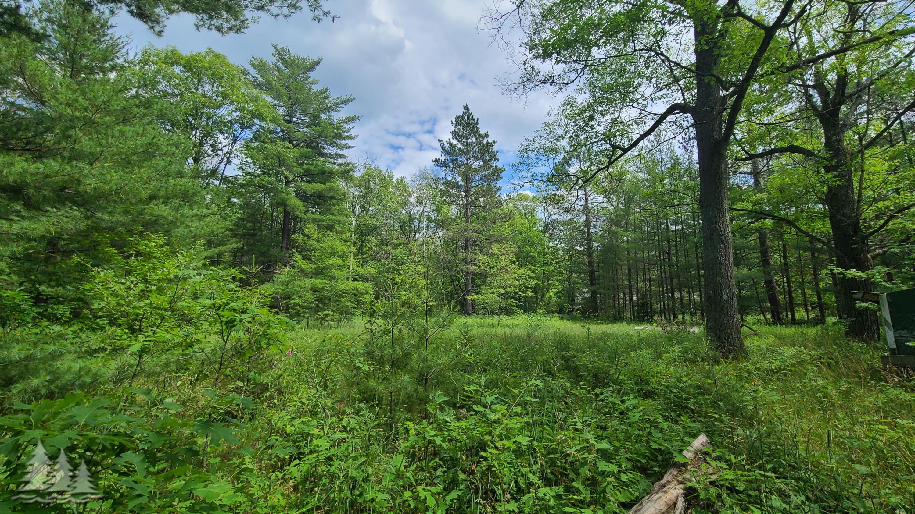 7793 Meridian Line Road Johannesburg, MI 49751 - Photo 22 of 24 Gallery Image 22