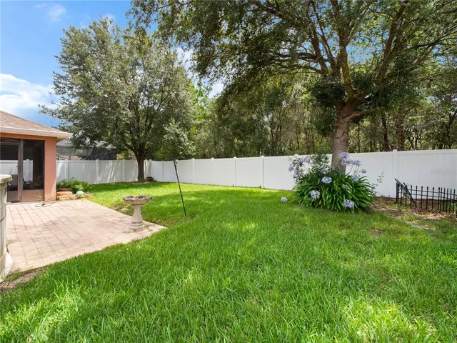 a view of a back yard