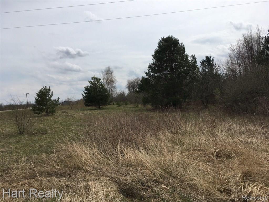 0 Reynolds Road Marlette, MI 48453 - Photo 1 of 2