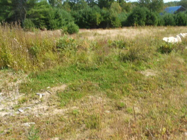 $160,000 | Lot 10 Pelletier Drive, Hollis Center, ME 04042