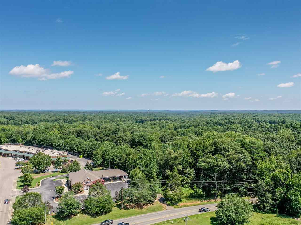 13120 Strickland Road Raleigh, NC 27613 - Photo 4 of 23 Photo 4