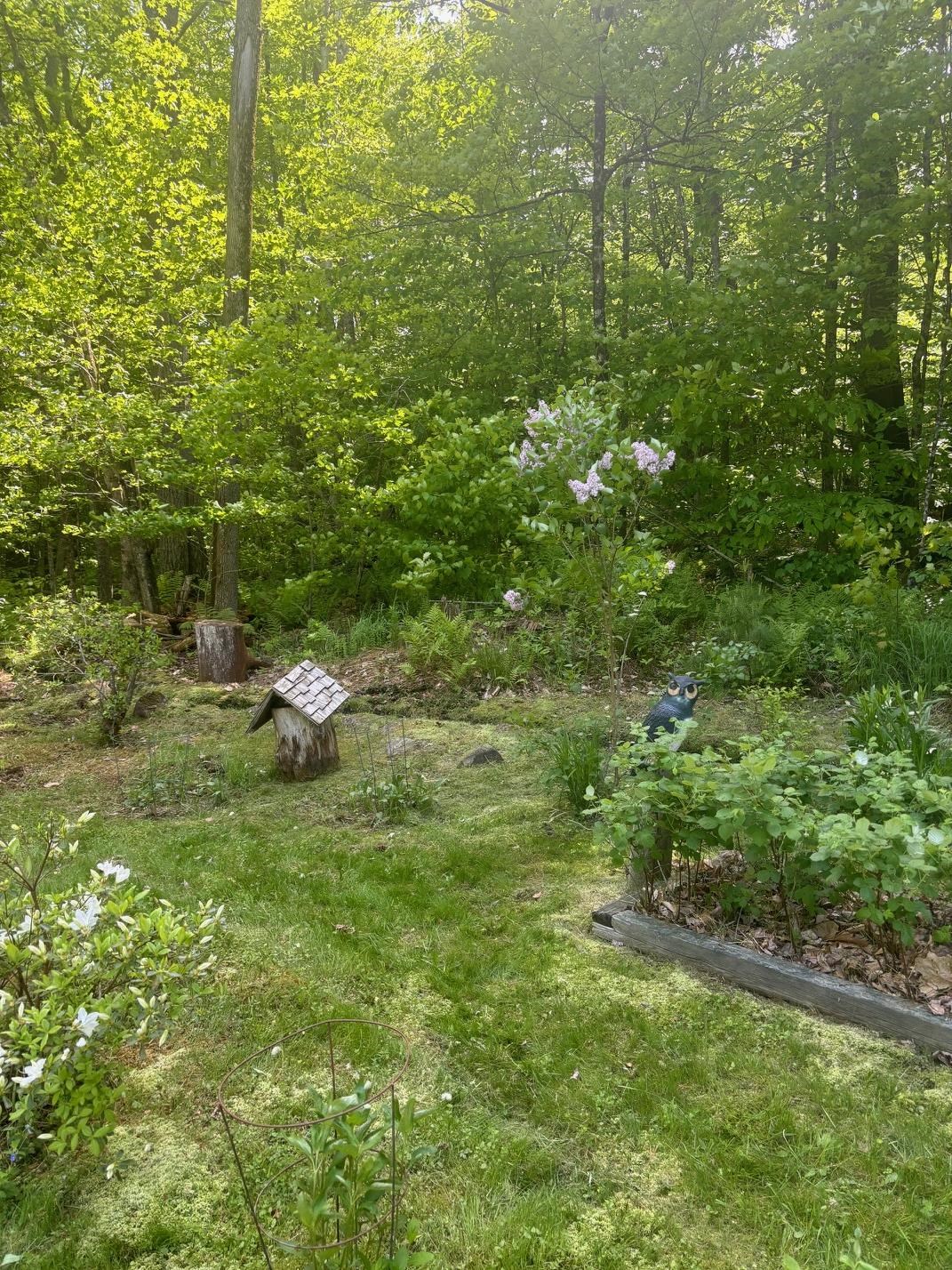 530 Marlow Road Washington, NH 03280 - Photo 12 of 18