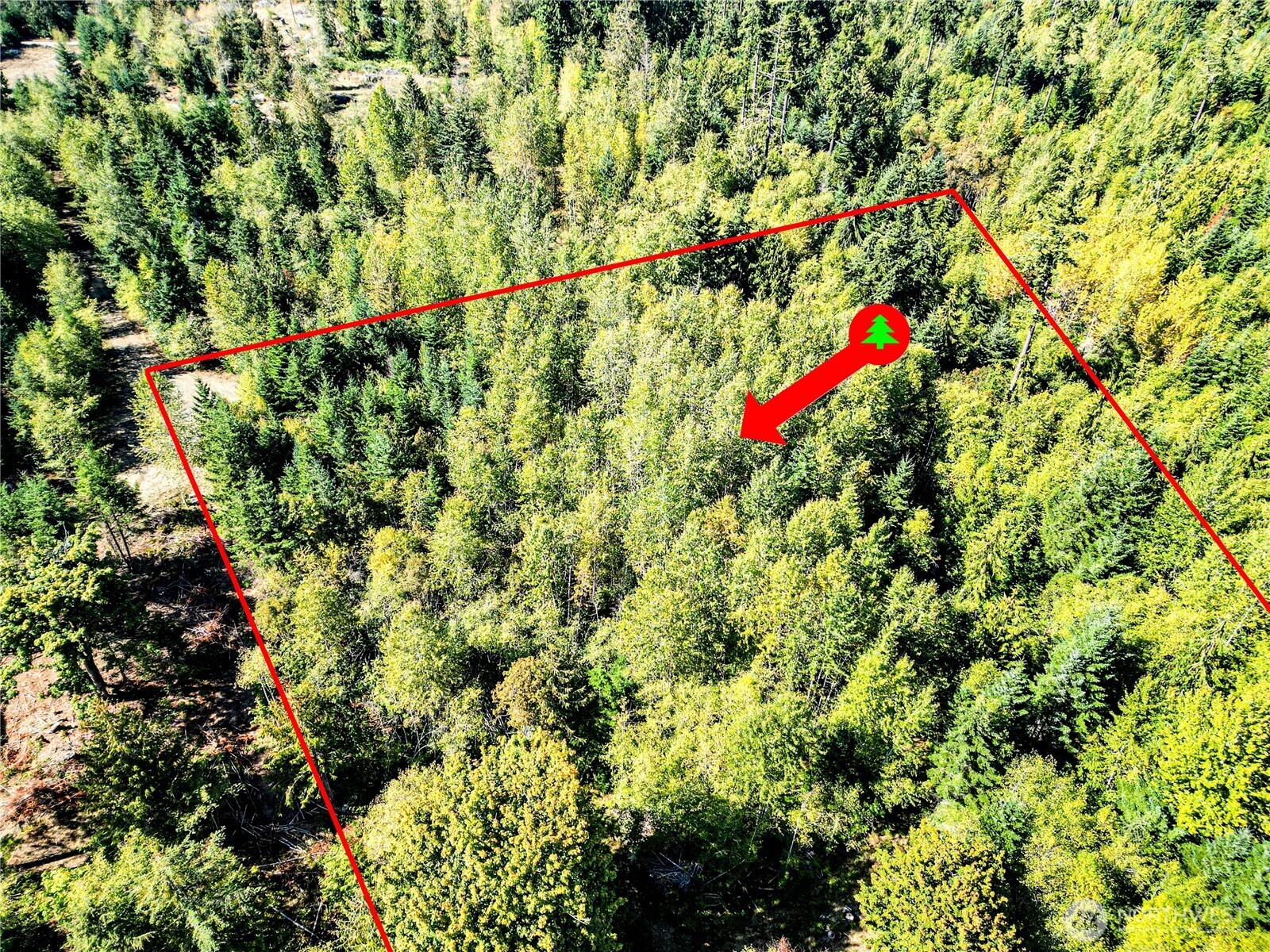 0 Colville Rd Port Port Angeles, WA 98363 - Photo 19 of 37