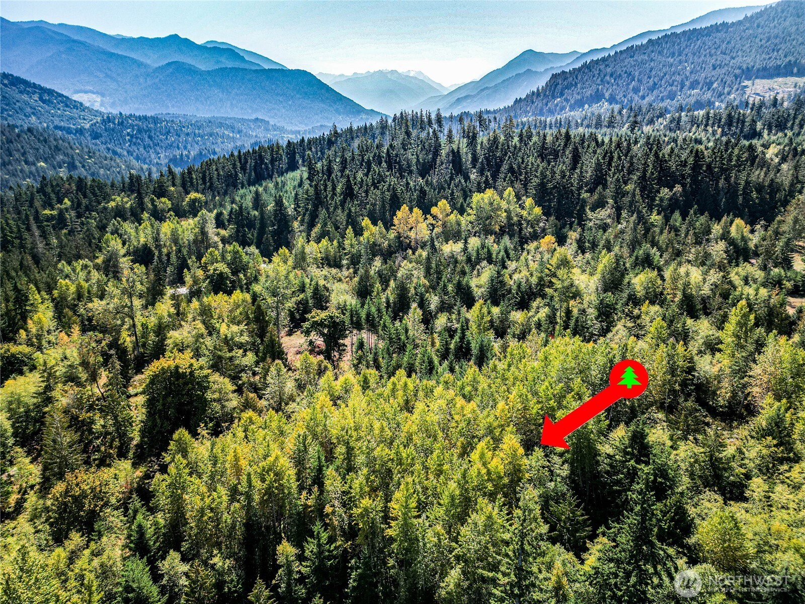 0 Colville Rd Port Port Angeles, WA 98363 - Photo 24 of 37