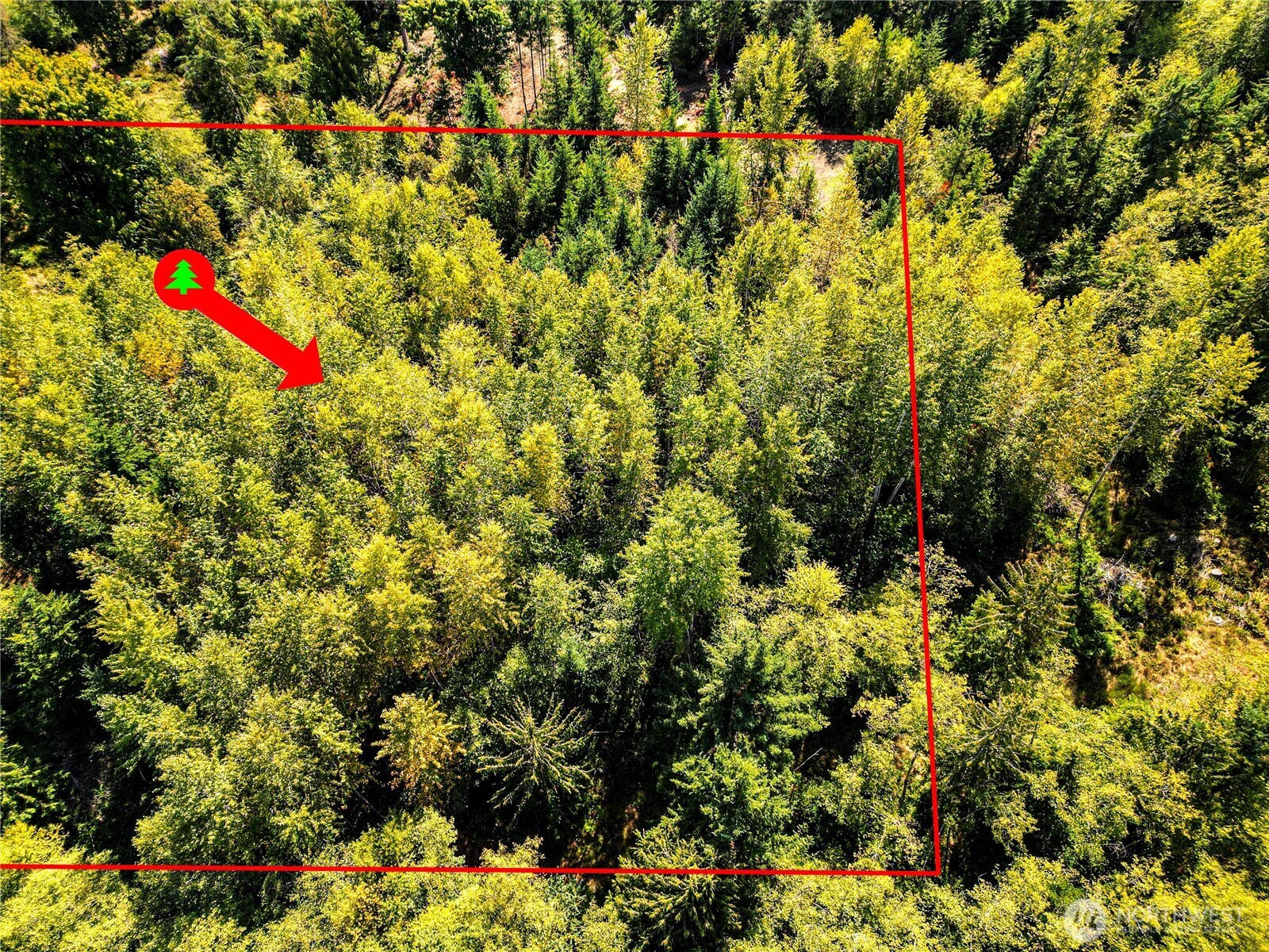 0 Colville Rd Port Port Angeles, WA 98363 - Photo 28 of 37