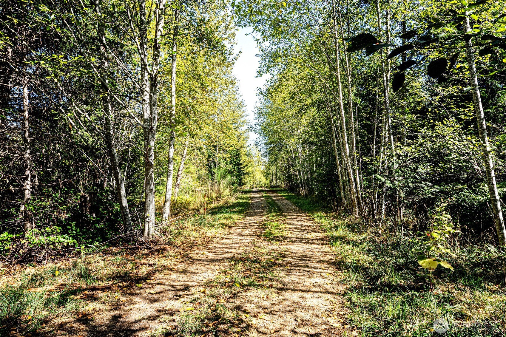 0 Colville Rd Port Port Angeles, WA 98363 - Photo 6 of 37