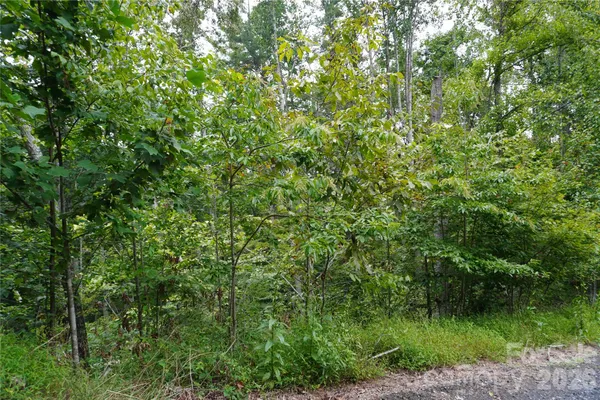 $61,000 | 0 High Peak Drive, Unit 16, Green Mountain, NC 28740