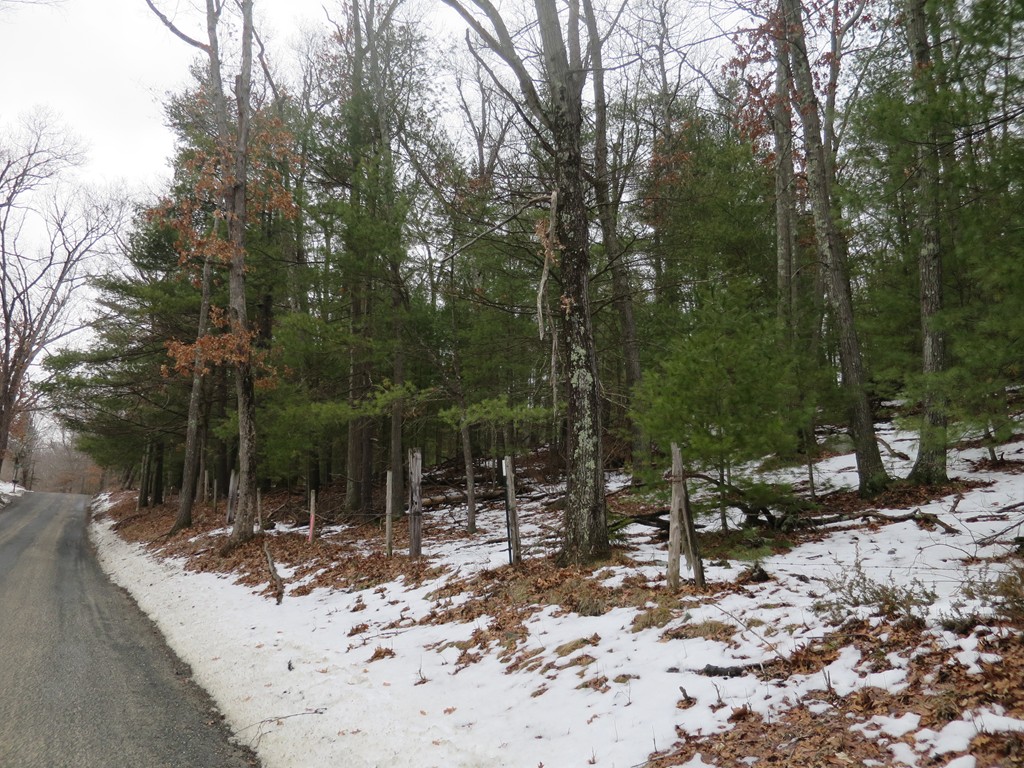 Lot 6 Bogan Road Monson, MA 01057 - Photo 4 of 7