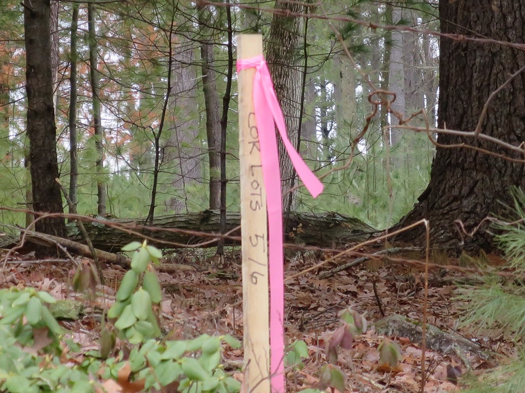 Lot 6 Bogan Road Monson, MA 01057 - Photo 7 of 7