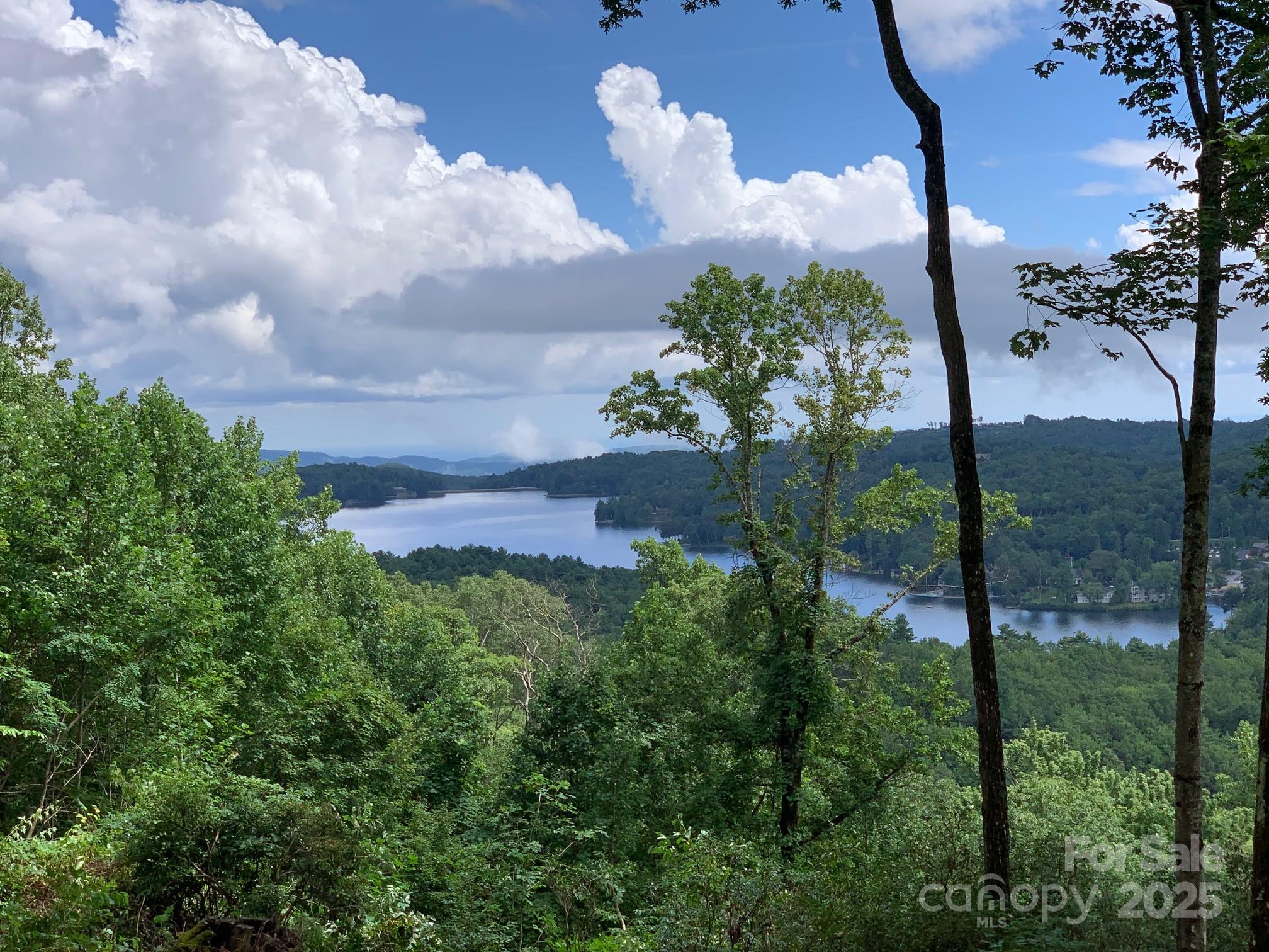 L-22 Panther Ridge Road Lake Toxaway, NC 28747 - Photo 1 of 24 Gallery Image 1