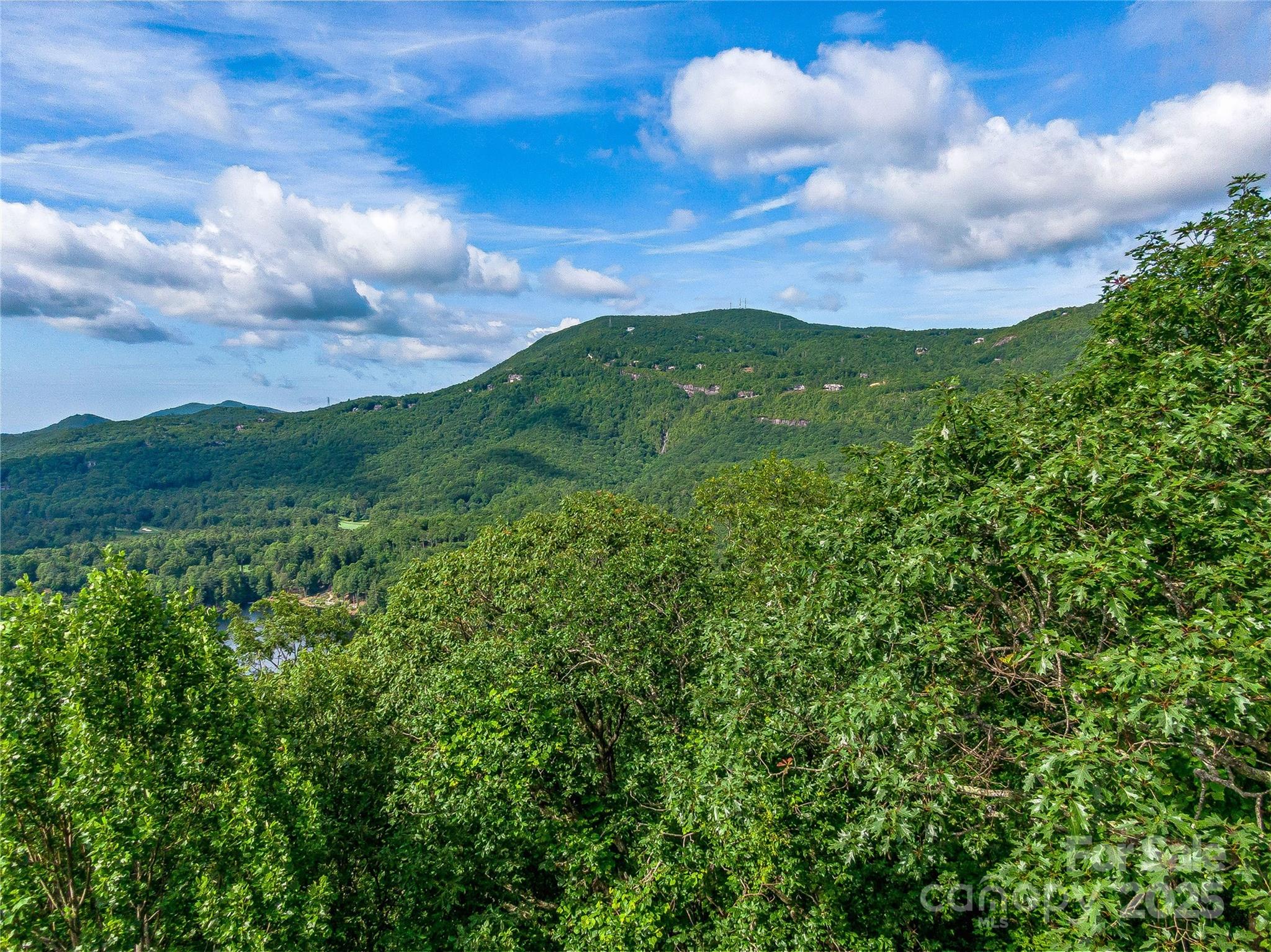 L-22 Panther Ridge Road Lake Toxaway, NC 28747 - Photo 11 of 24 Gallery Image 11
