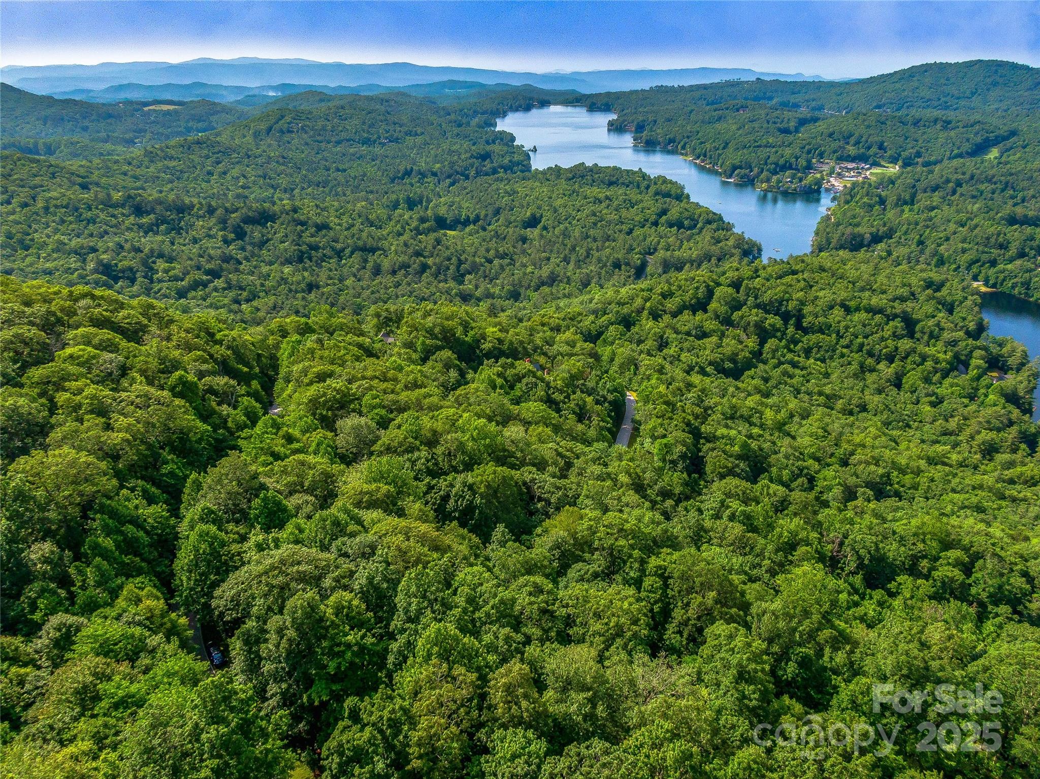 L-22 Panther Ridge Road Lake Toxaway, NC 28747 - Photo 12 of 24 Gallery Image 12