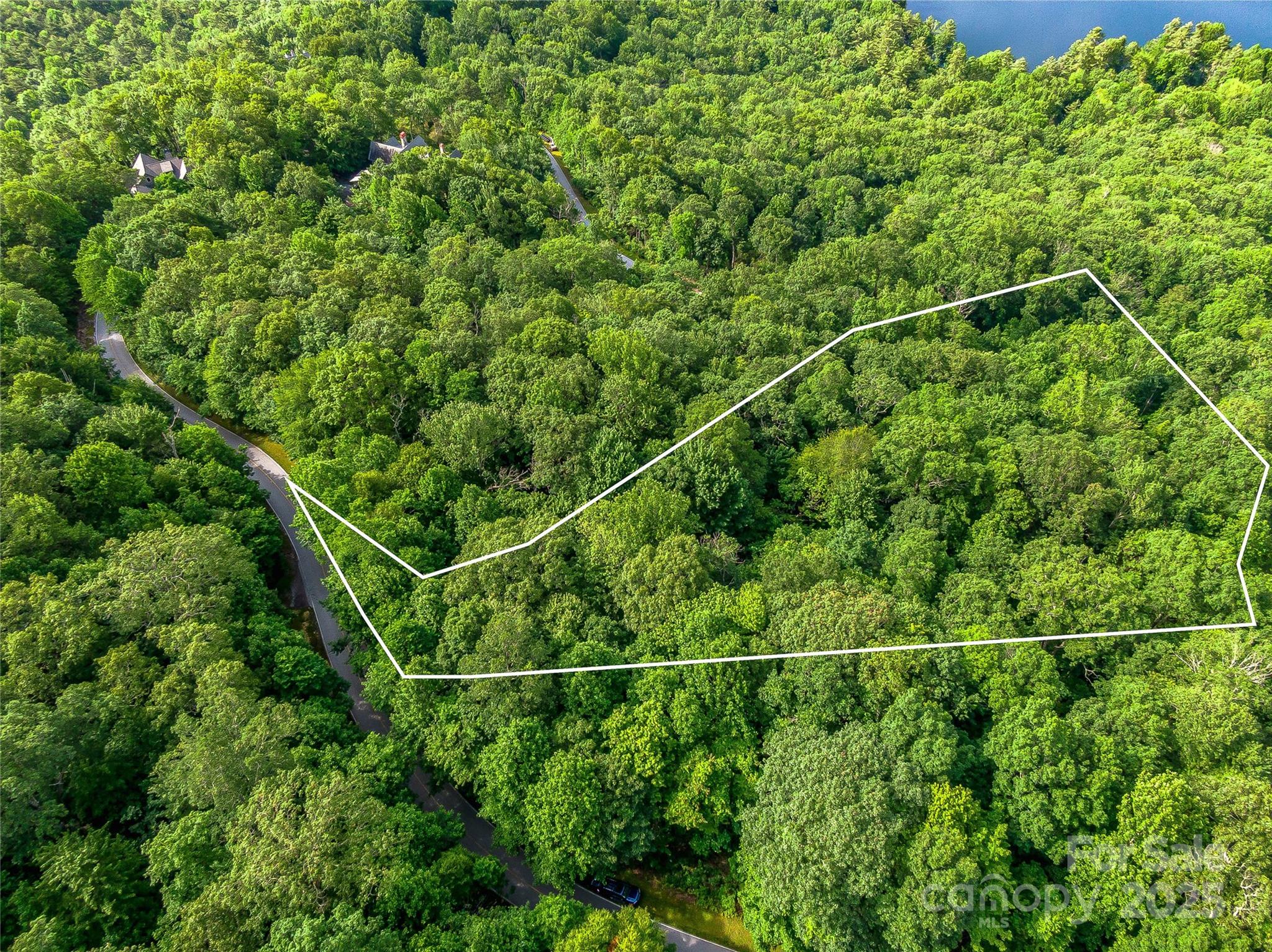L-22 Panther Ridge Road Lake Toxaway, NC 28747 - Photo 16 of 24 Gallery Image 16
