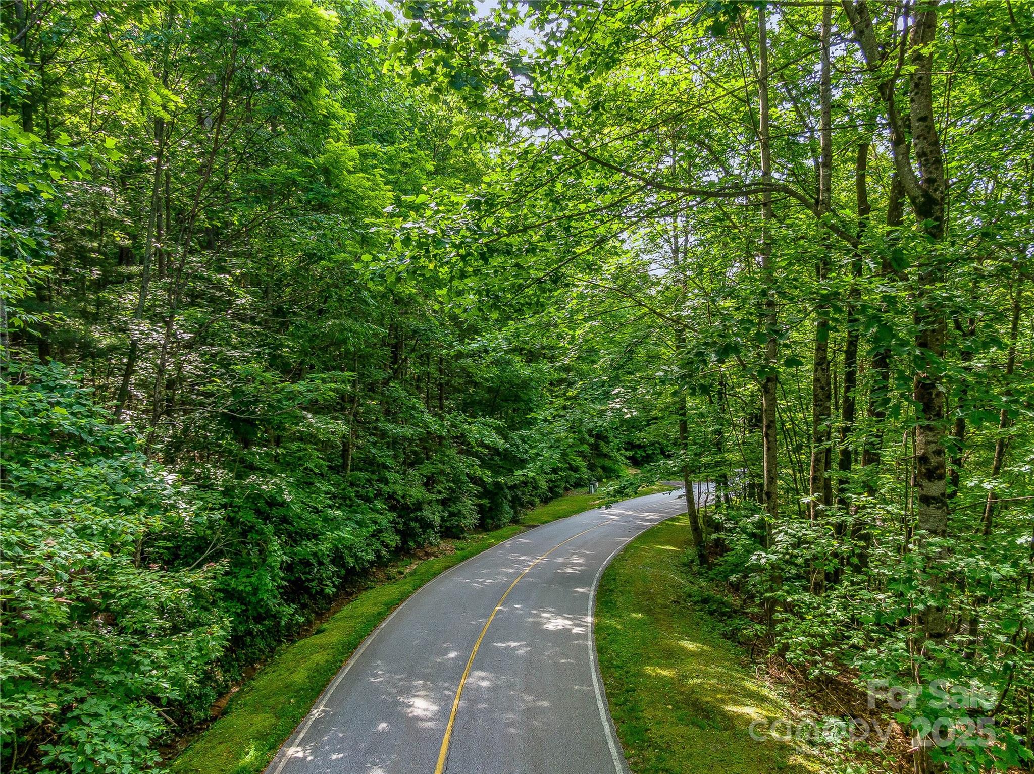 L-22 Panther Ridge Road Lake Toxaway, NC 28747 - Photo 17 of 24 Gallery Image 17