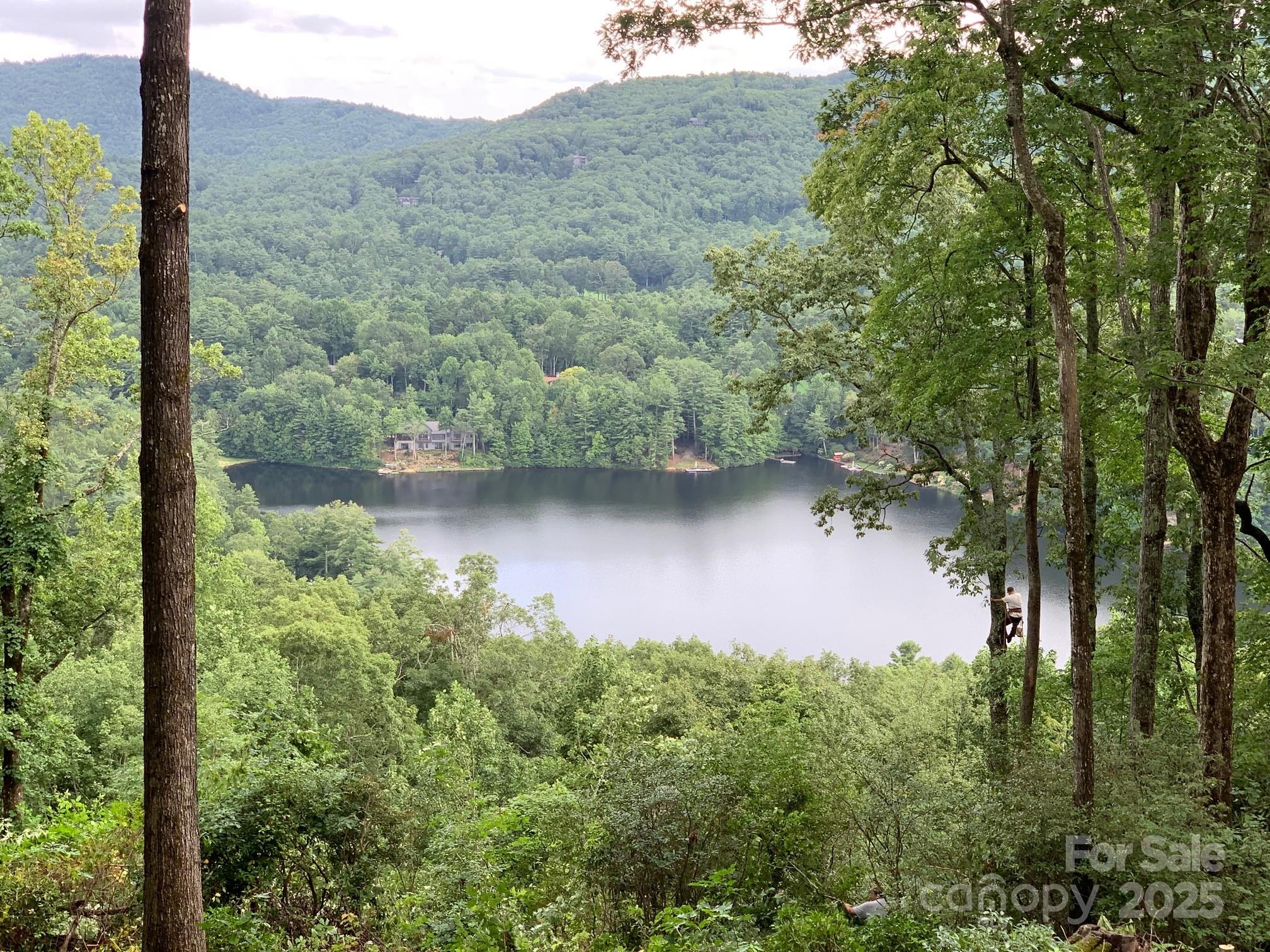 L-22 Panther Ridge Road Lake Toxaway, NC 28747 - Photo 2 of 24 Gallery Image 2