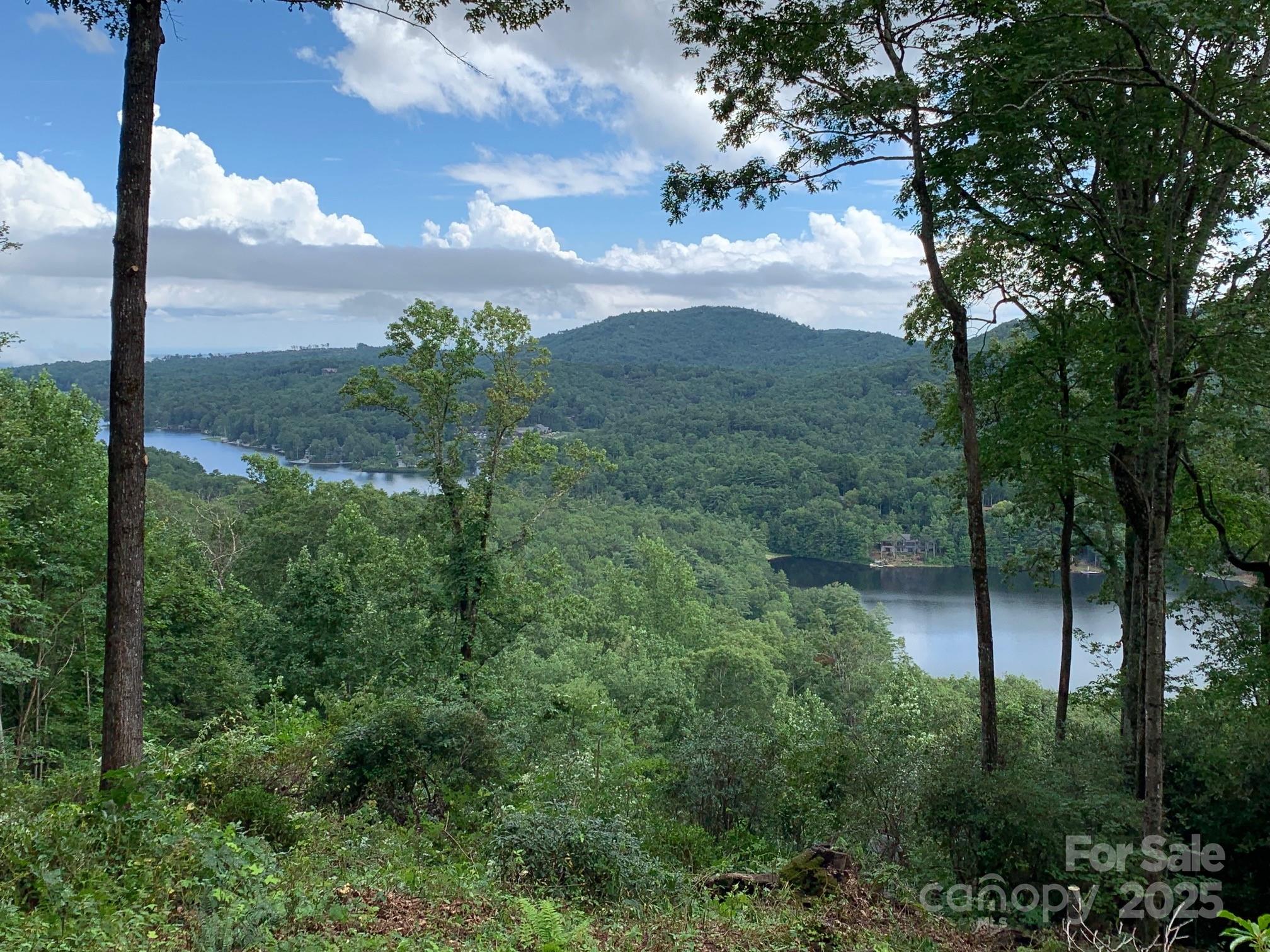 L-22 Panther Ridge Road Lake Toxaway, NC 28747 - Photo 3 of 24 Gallery Image 3