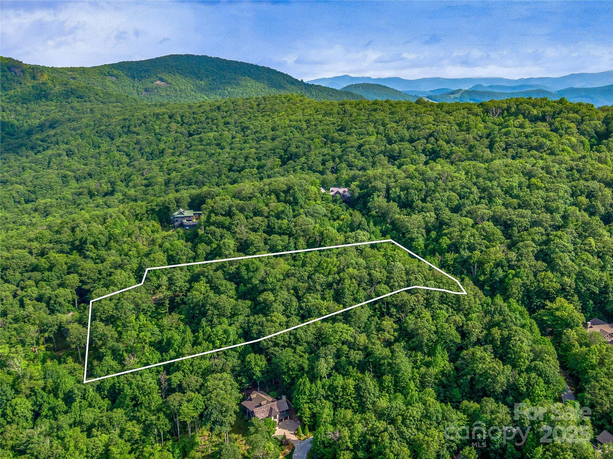 L-22 Panther Ridge Road Lake Toxaway, NC 28747 - Photo 5 of 24 Gallery Image 5