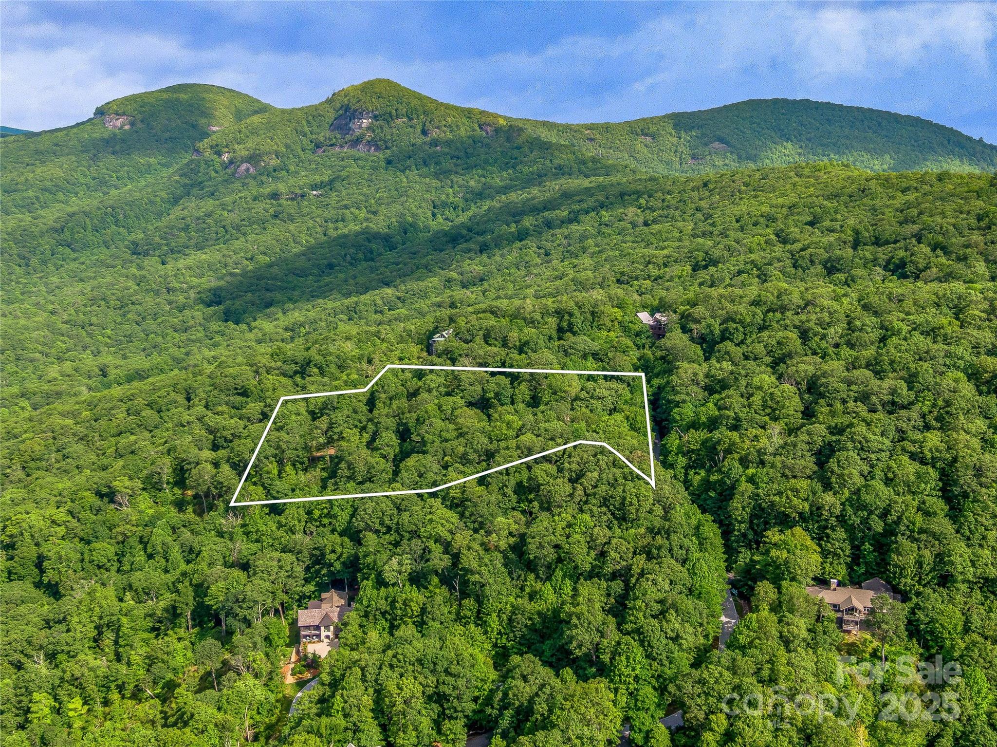 L-22 Panther Ridge Road Lake Toxaway, NC 28747 - Photo 6 of 24 Gallery Image 6