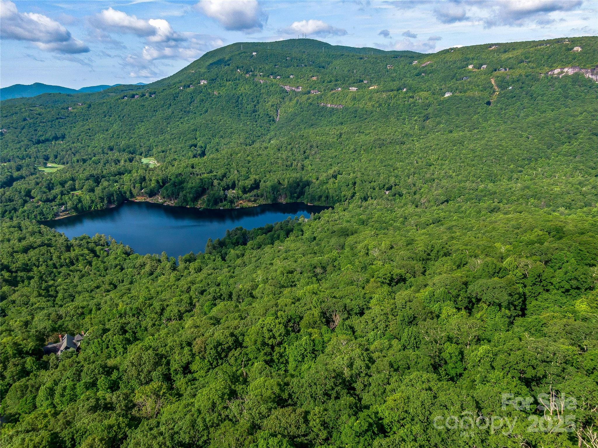 L-22 Panther Ridge Road Lake Toxaway, NC 28747 - Photo 8 of 24 Gallery Image 8